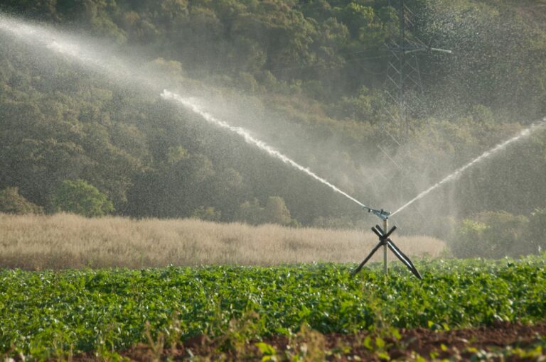 Conselho aprova mudanças no microcrédito para agricultura familiar