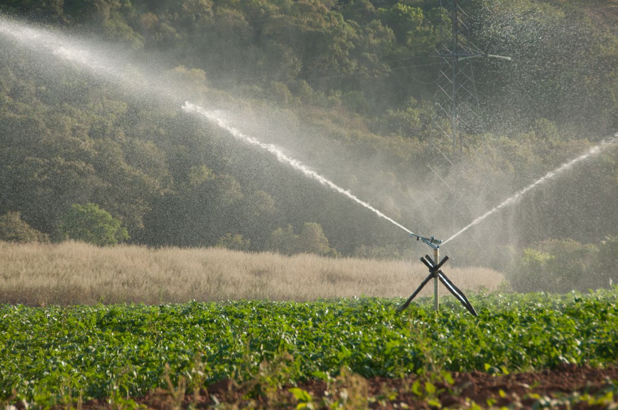 Principais mudanças são destinadas a produtores familiares com renda bruta familiar de até R$ 50 mil. Foto: Adobe Stock