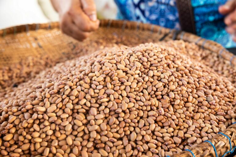 Concurso nacional vai premiar invenções da agricultura familiar