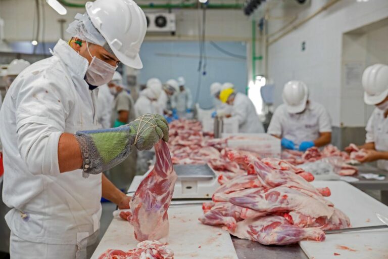 Em investigação, China aponta 'dano grave' à indústria de carne bovina e notifica OMC e exportadores