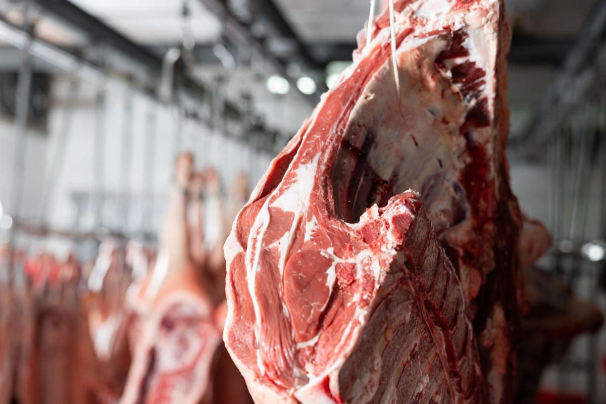 Preço competitivo da carne brasileira pode viabilizar arbitragem como alterativa de mercado. Foto: Adobe Stock