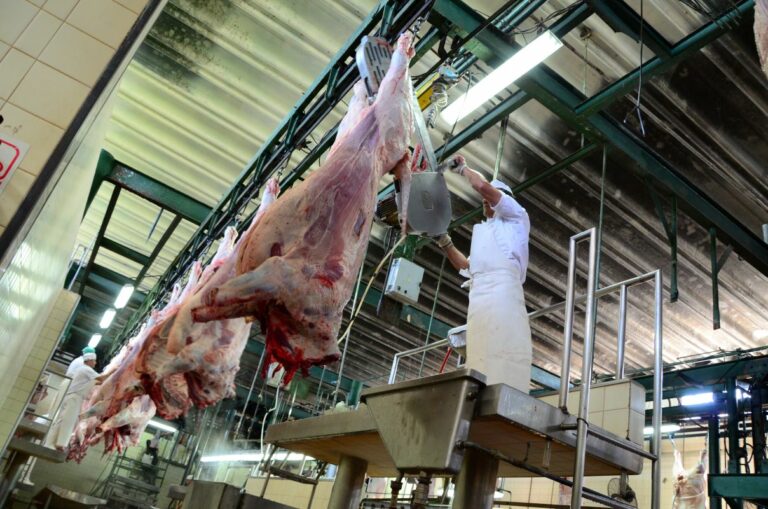 Europa recolhe carne bovina do Brasil e amplia pressão contra acordo Mercosul-UE