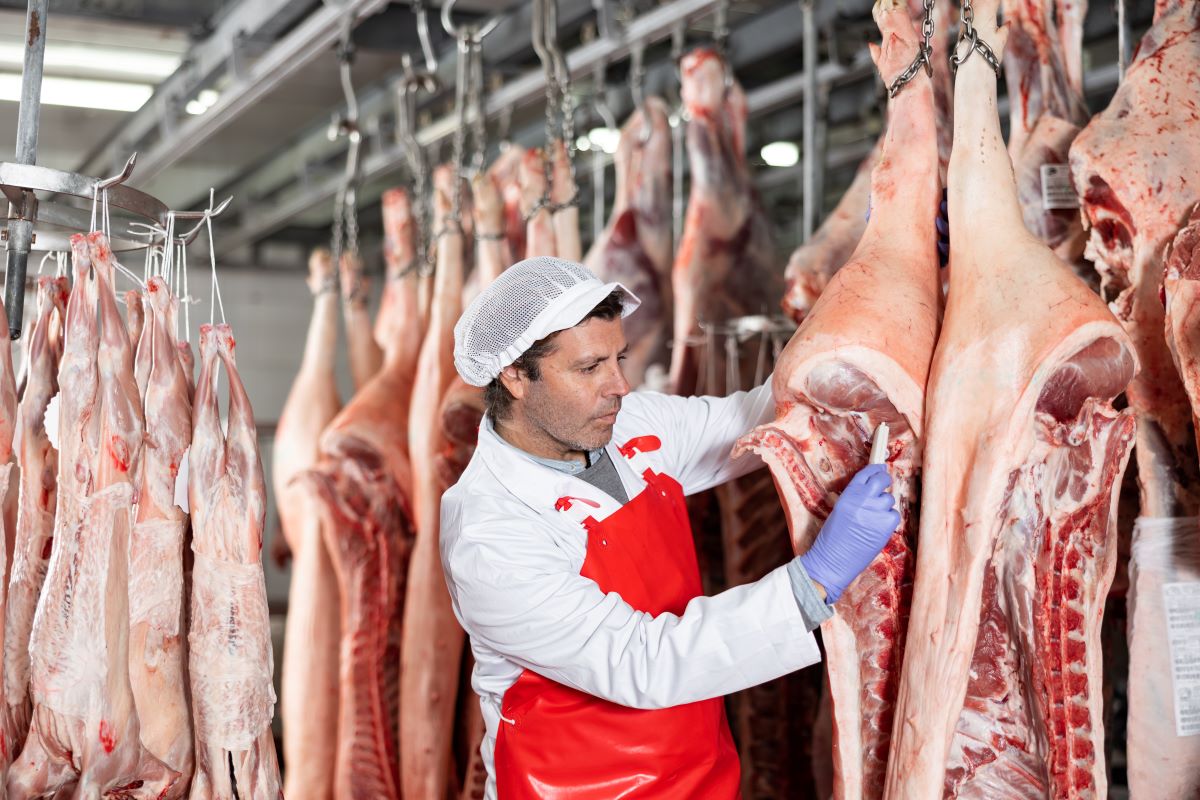 Segundo a ABPA, desempenho da carne suína foi positivo mesmo com queda nas compras pela China. Foto: Adobe Stock
