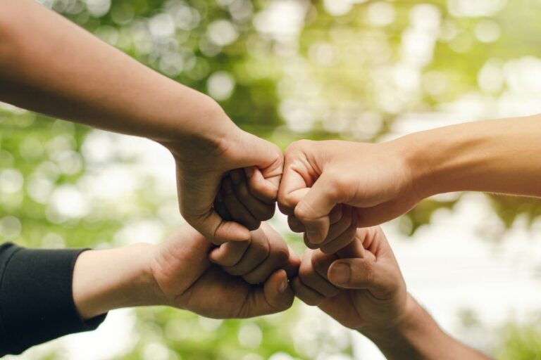 São Paulo anuncia MBA online para lideranças de cooperativas