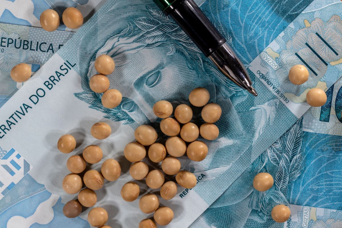 No primeiro semestre, volume de crédito alcançou R$ 83 bilhões. Foto: Adobe Stock