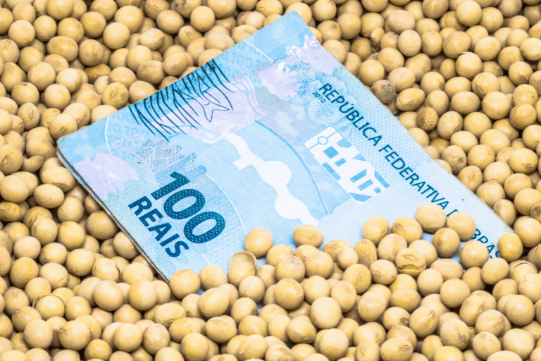 Imea: bancos e tradings avançam no custeio da soja em MT