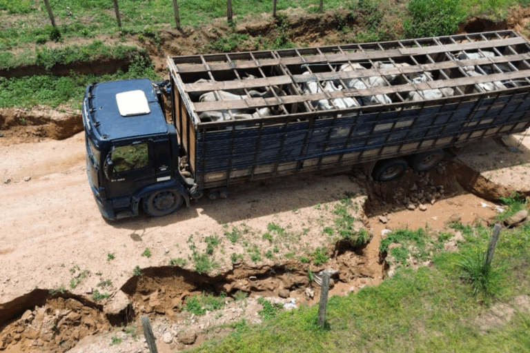 Falta de infraestrutura nas estradas rurais eleva custos e emissões no agro