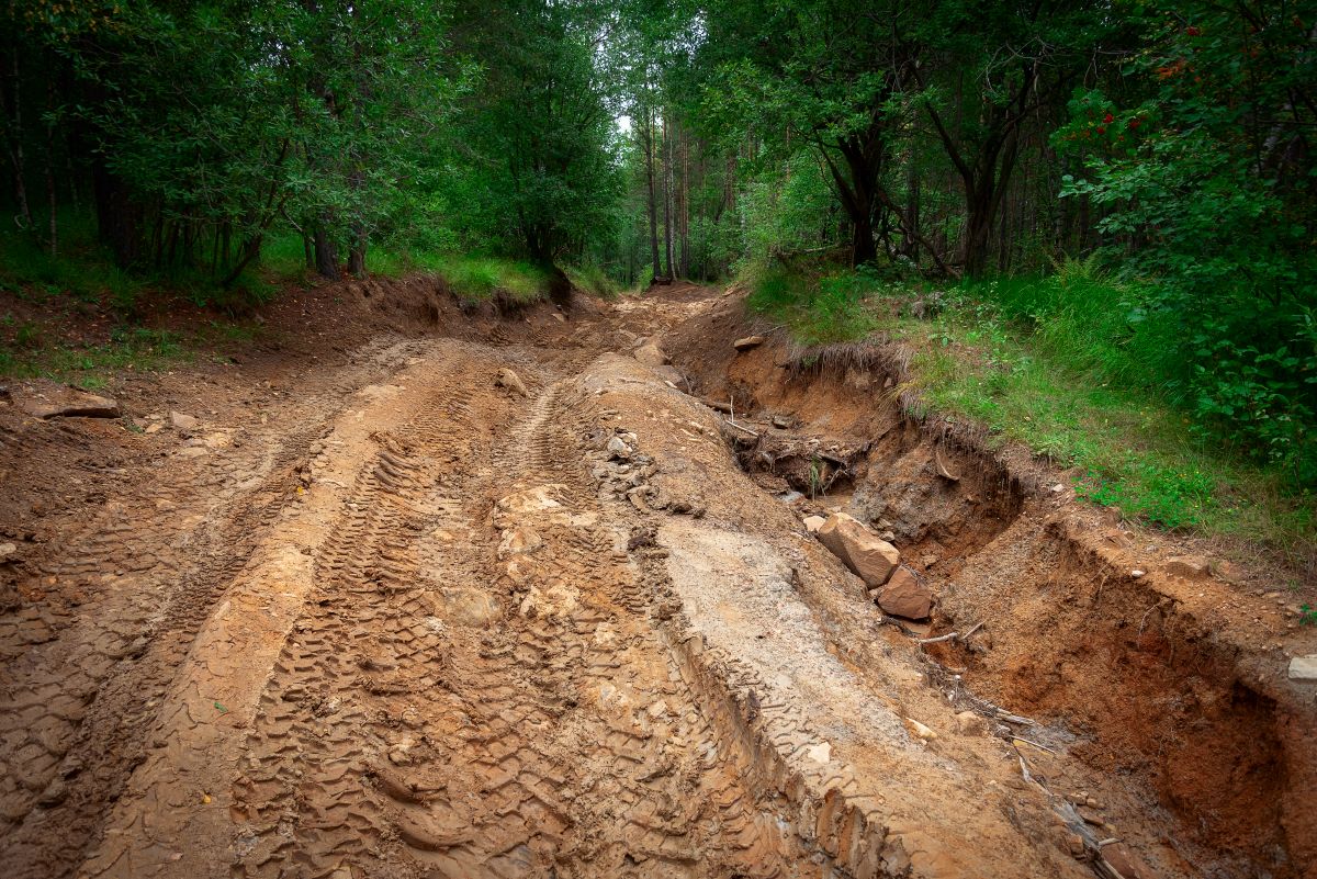 Recursos virão do Fundo do Plano Rio Grande (Funrigs), criado após os eventos climáticos extremos de 2024. Foto: Adobe Stock