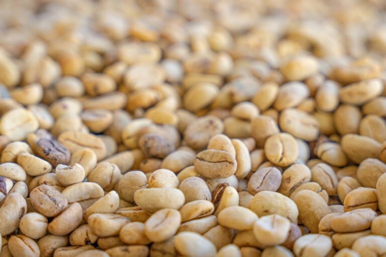 Exportações de café ainda sentem efeito das tarifas dos EUA