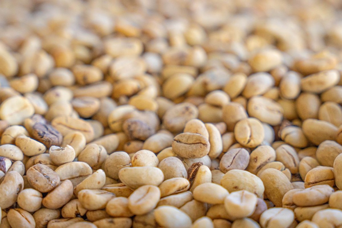 Montante exportado em novembro é 26,7% inferior em relação ao mesmo mês de 2024. Foto: Adobe Stock