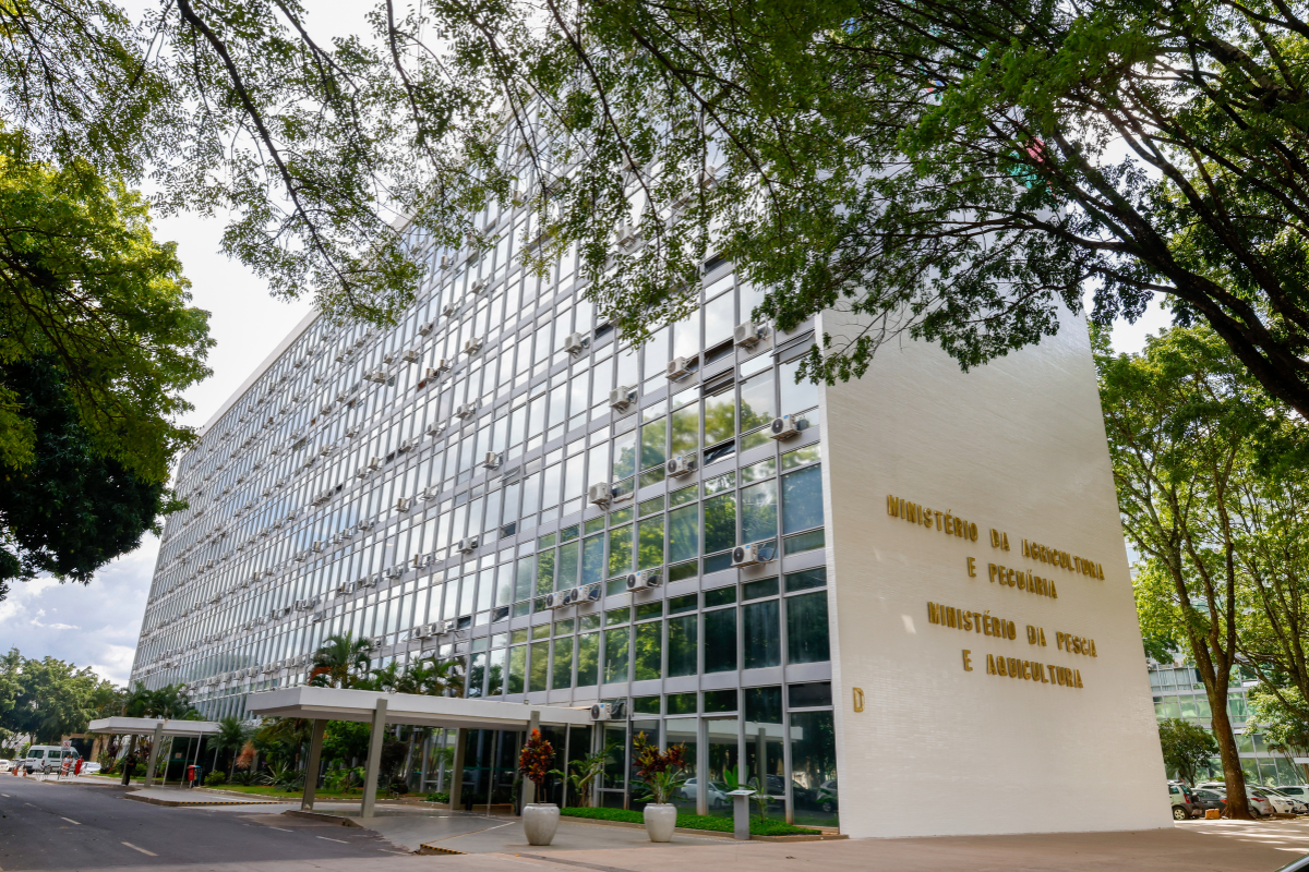 Foto: Percio Campos/Mapa