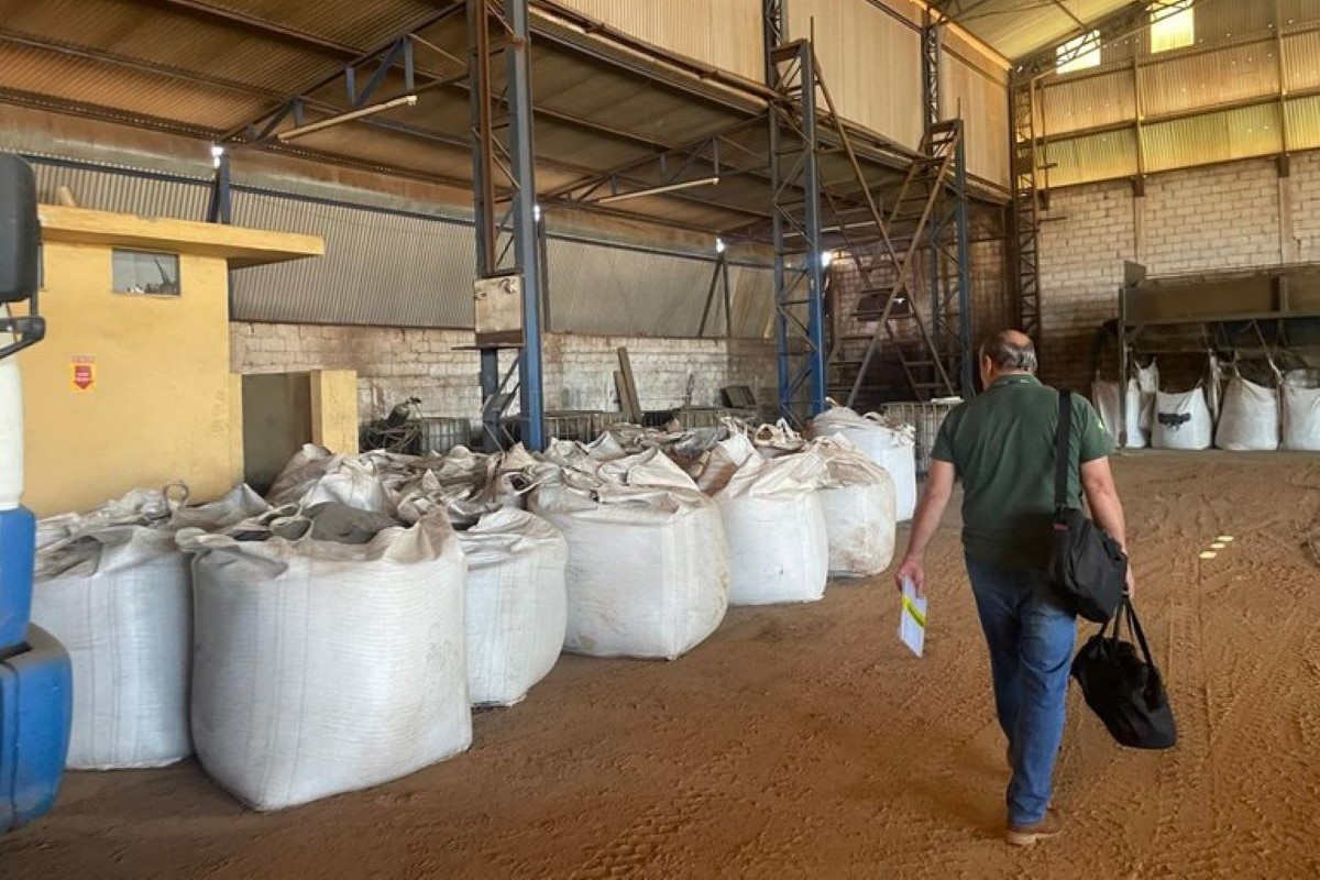 Produtos não apresentavam indicação de procedência nem garantias de qualidade. Foto: Mapa/Divulgação