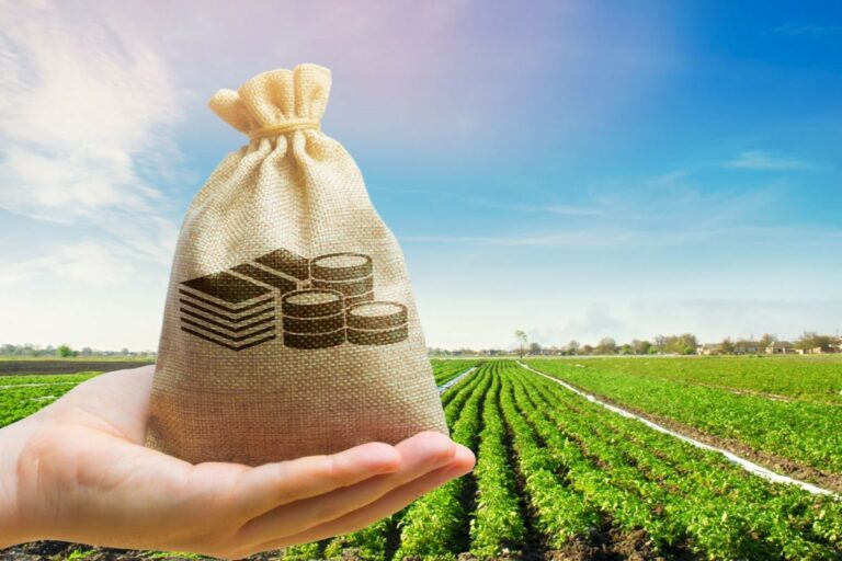 Financiamentos ao agronegócio pelo BB em 2025/2026 caem em relação à safra anterior