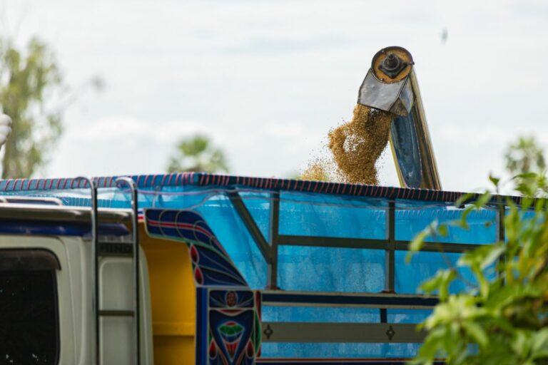 Federarroz diz que novas regras do piso mínimo de frete agravam crise no setor