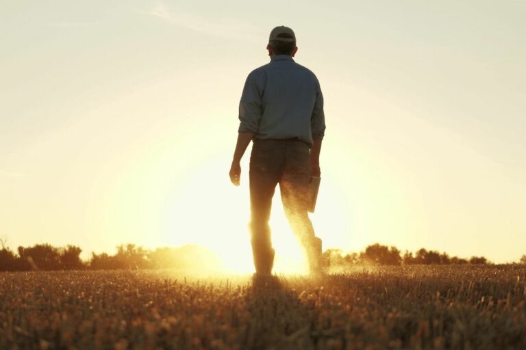 Qual o custo do futuro?