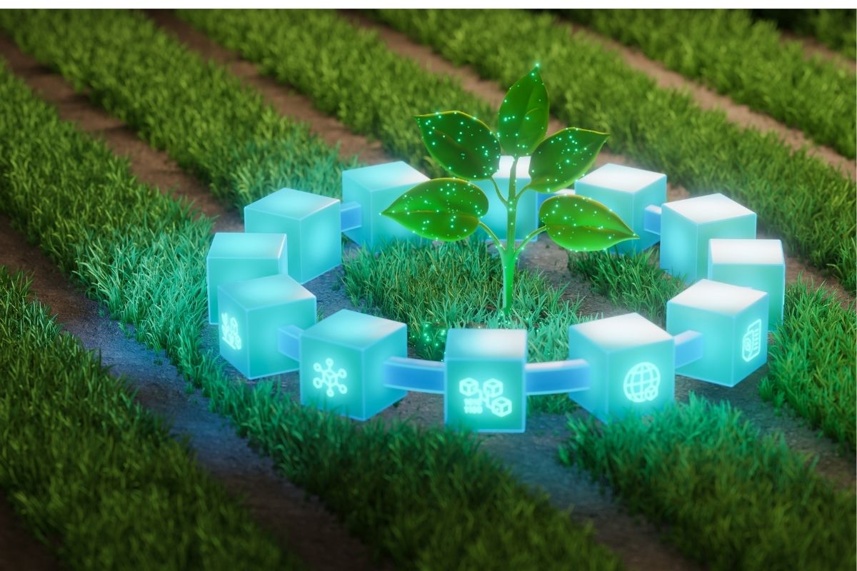 O manejo deixou de ser baseado em área e passou a ser por planta, ampliando a eficiência na agricultura. Foto: Adobe Stock