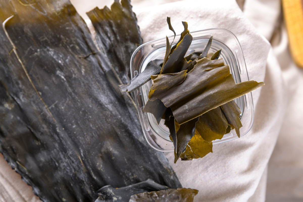 Algas marinhas como alimentação