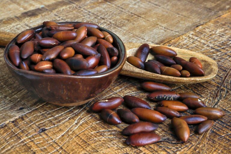Castanha de baru, frutas processadas e arroz ganham acesso a novos mercados