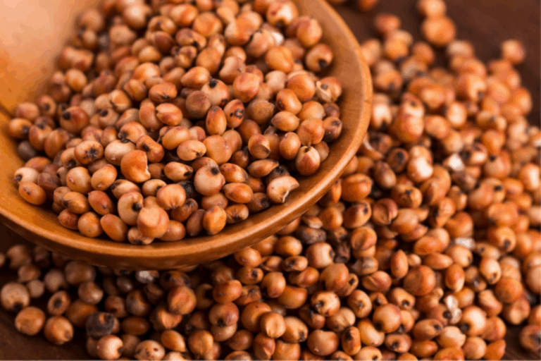 Brasil abre mercados nos Emirados Árabes, em Gana e no Peru