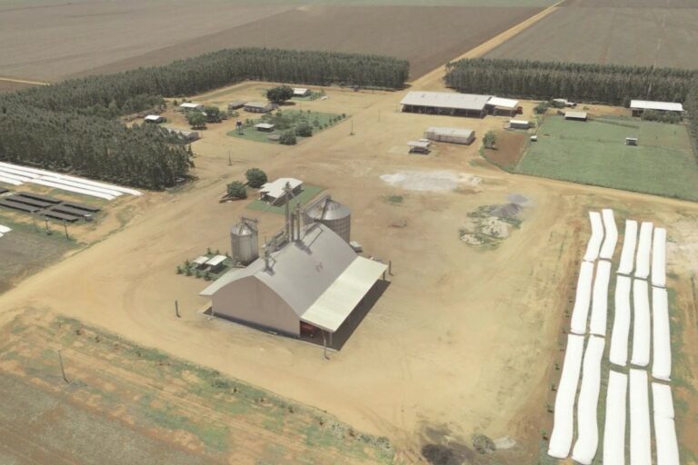 Segredos do campeão: como produtor alcançou 268 sacas de milho por hectare