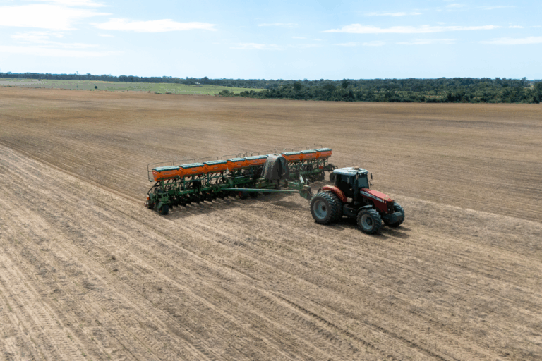 Conab: semeadura da soja atinge 86% da área prevista