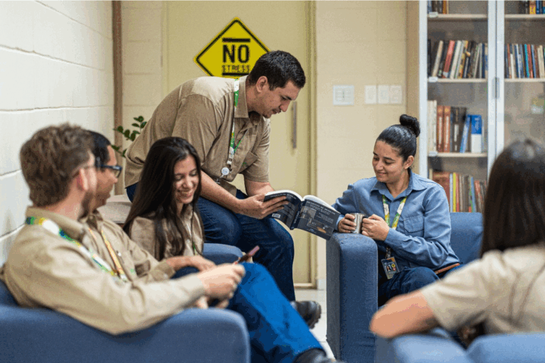 Vagas no Agro: Eldorado Brasil está com inscrições abertas para estágio