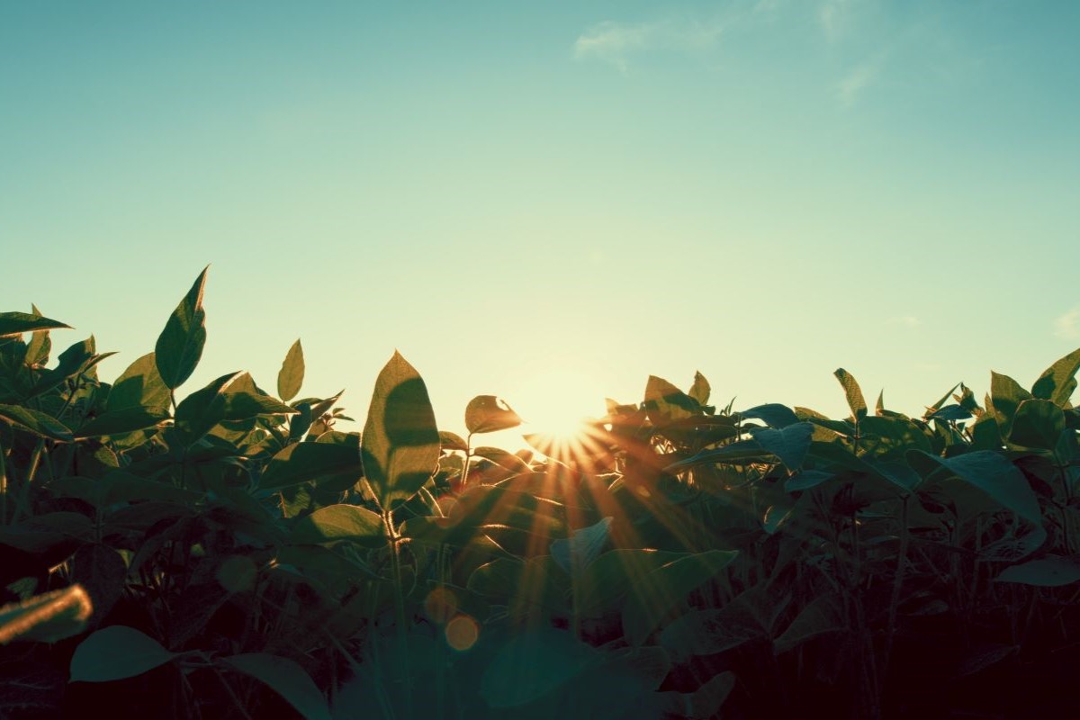Segundo meteorologistas, temperaturas tendem a ser mais baixas que no verão passado. Foto: Adobe Stock
