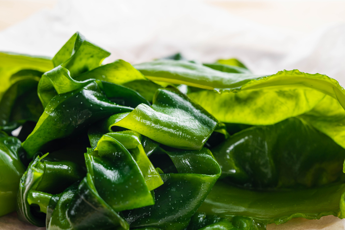 Algas marinhas como alimentação