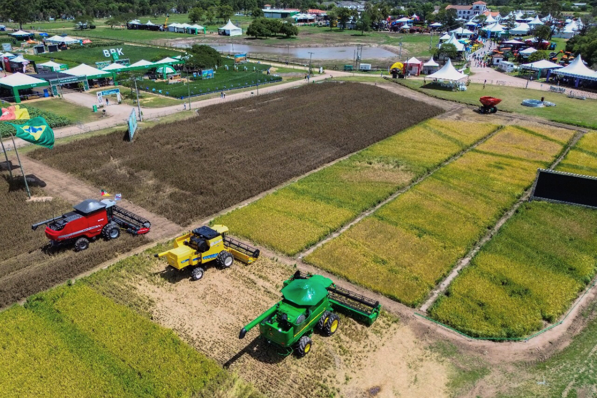 Foto: Abertura da Colheita do Arroz/Divulgação