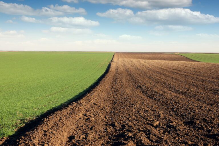 Qual região tem o hectare mais caro? E o mais barato? Incra lança Atlas do Mercado de Terras