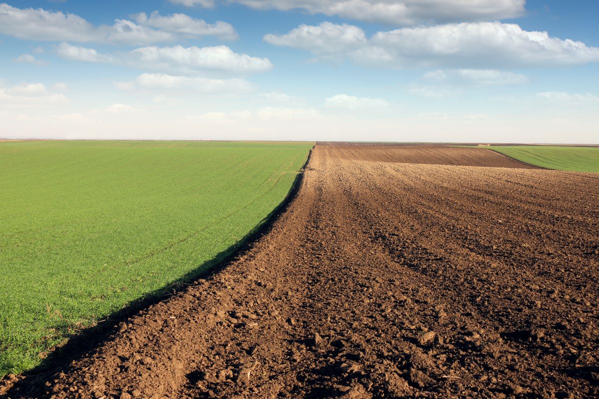 Os valores médios da região Sul são os maiores, conforme o levantamento. Foto: Adobe Stock