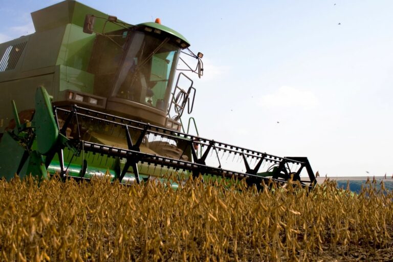 AgRural: colheita da safra brasileira de soja 2025/2026 atinge 2%