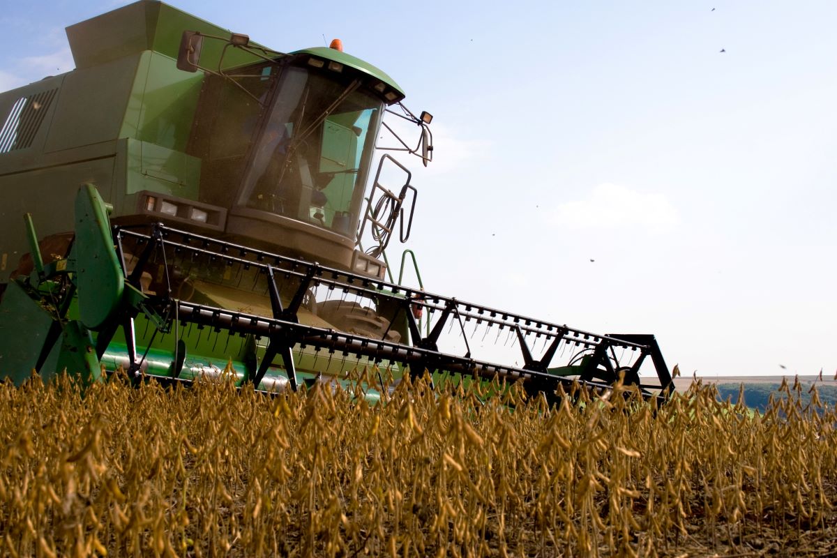 Produtividades observadas até agora reforçam expectativa de grande safra de soja. Foto: Adobe Stock