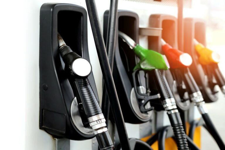 Secretária dos EUA celebra compromisso 'sem demora' de Trump com E15