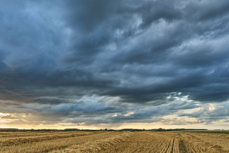 Previsto para 2026, El Niño deve alterar clima no Brasil; saiba como