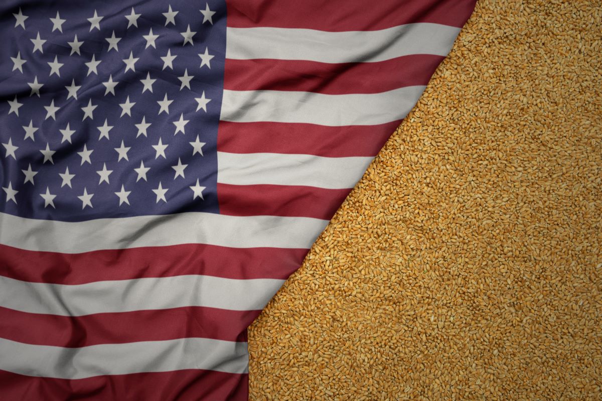 Trigo é um dos produtos que receberão auxílio de programa do governo dos EUA. Foto: Adobe Stock