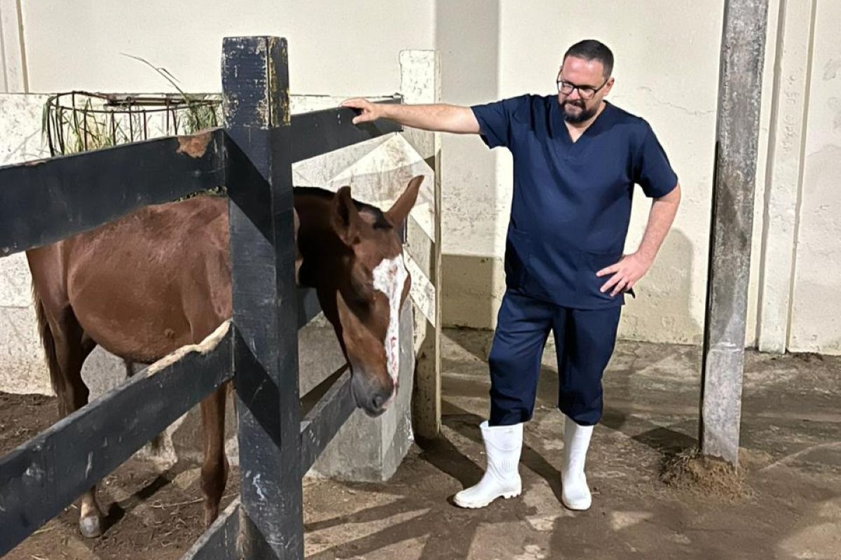 Professor Fábio Mendonça, da UFRRPE, investiga se ração também provocou cegueira nos potros. Foto: Fábio Mendonça/Arquivo pessoal