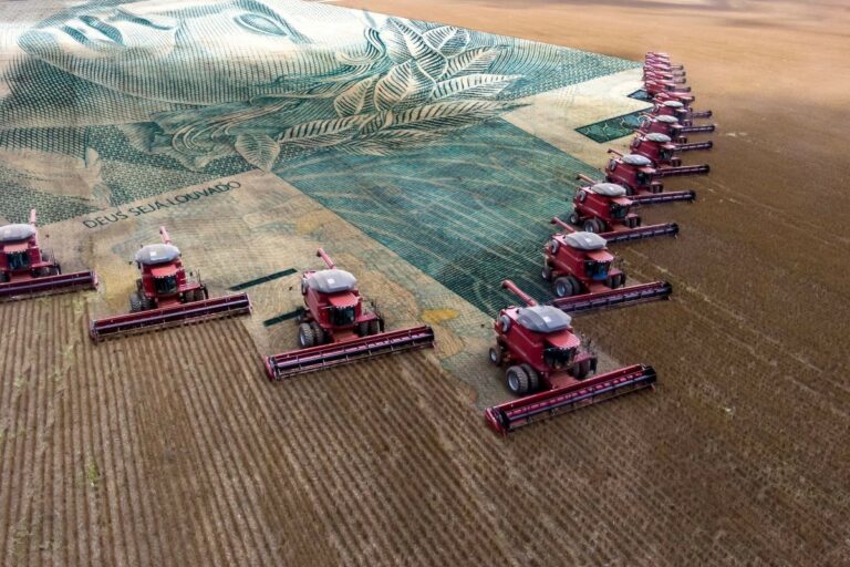 Desembolso no Plano Safra 2025/2026 cai 15,6% no 1º semestre, a R$ 186,146 bi