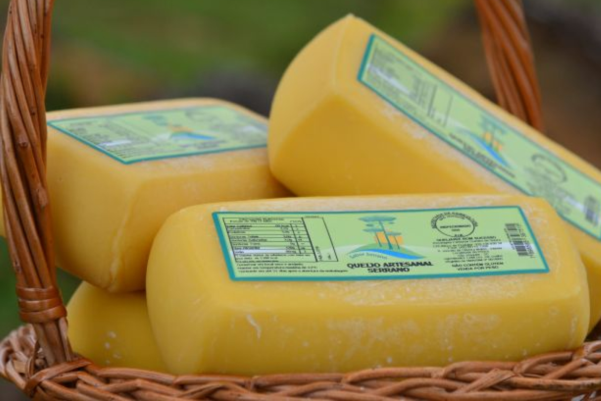 queijos artesanais brasileiros