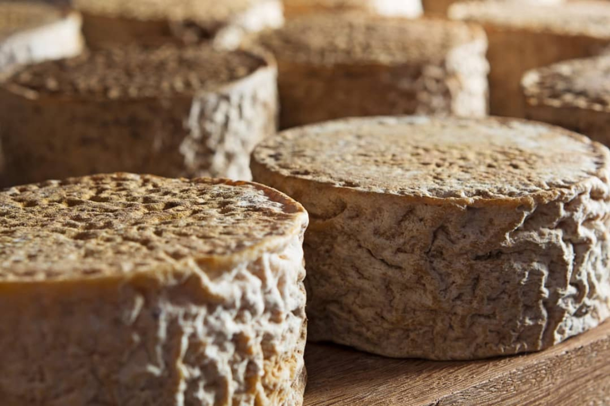 queijos artesanais brasileiros