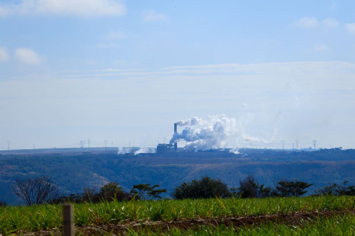 Uma das tecnologias permitiria capturar CO2 antes que o gás seja lançado na atmosfera. Foto: Adobe Stock