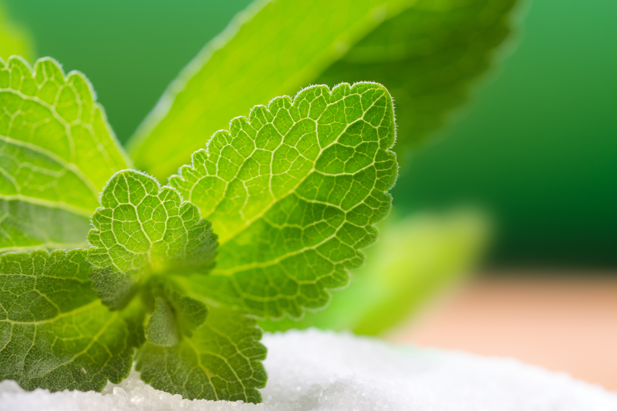 stevia