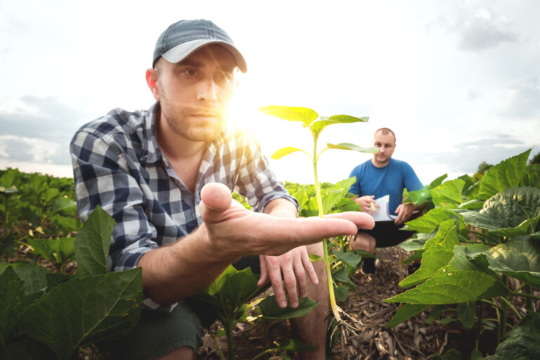 Seguro rural no Brasil: importância, tipos de coberturas e benefícios