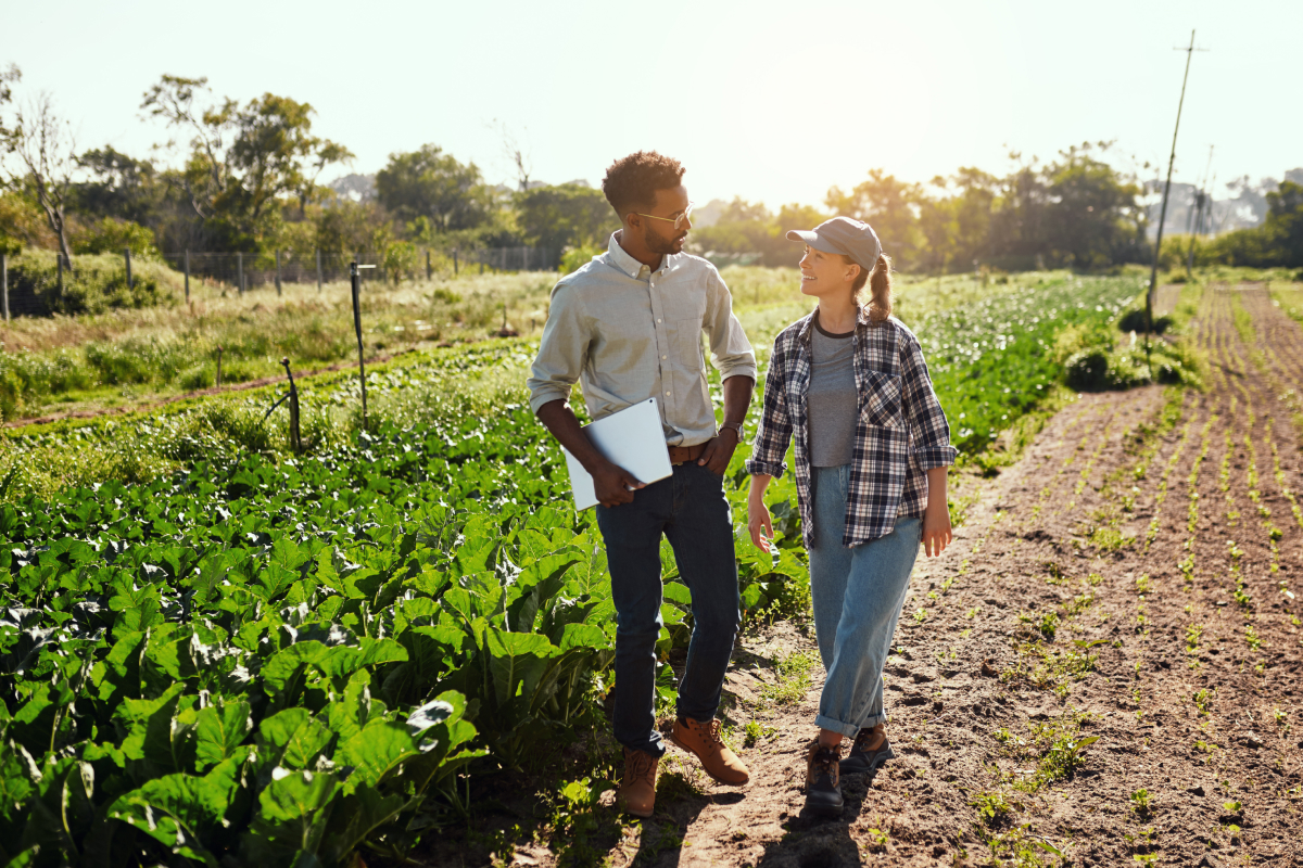 Assistência técnica e extensão rural