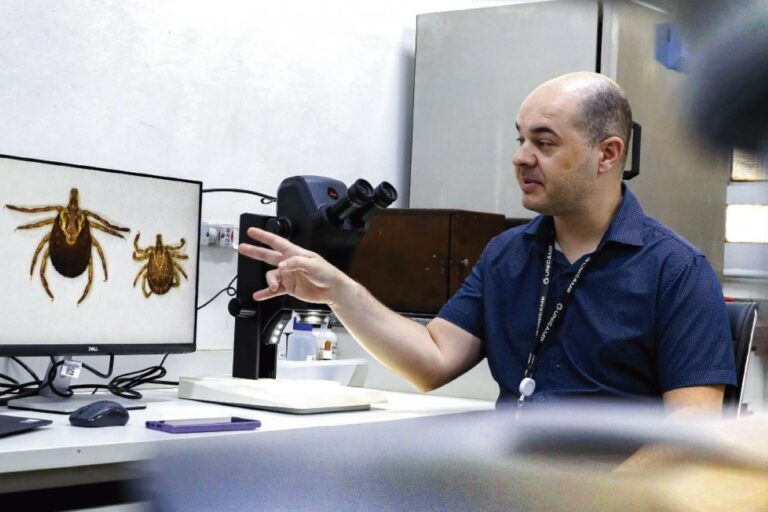 Brasil ganha catálogo inédito de ácaros e carrapatos; veja benefícios para o agro