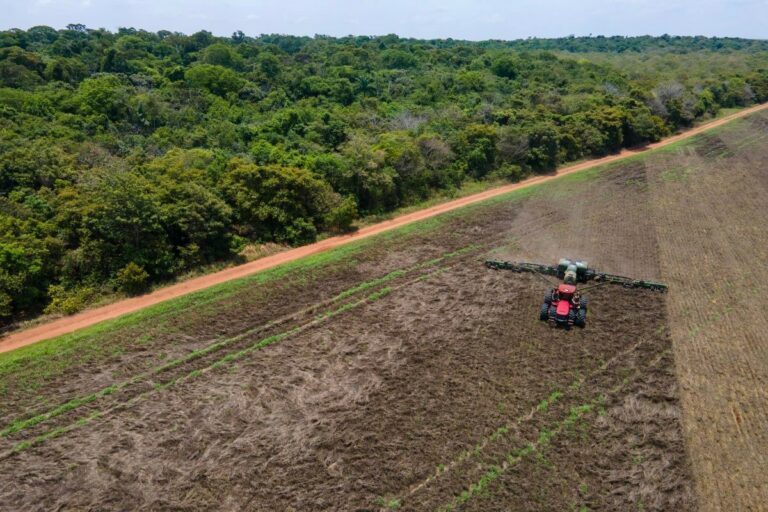 Microsoft fecha megacontrato de carbono com Indigo: veja impacto no Brasil