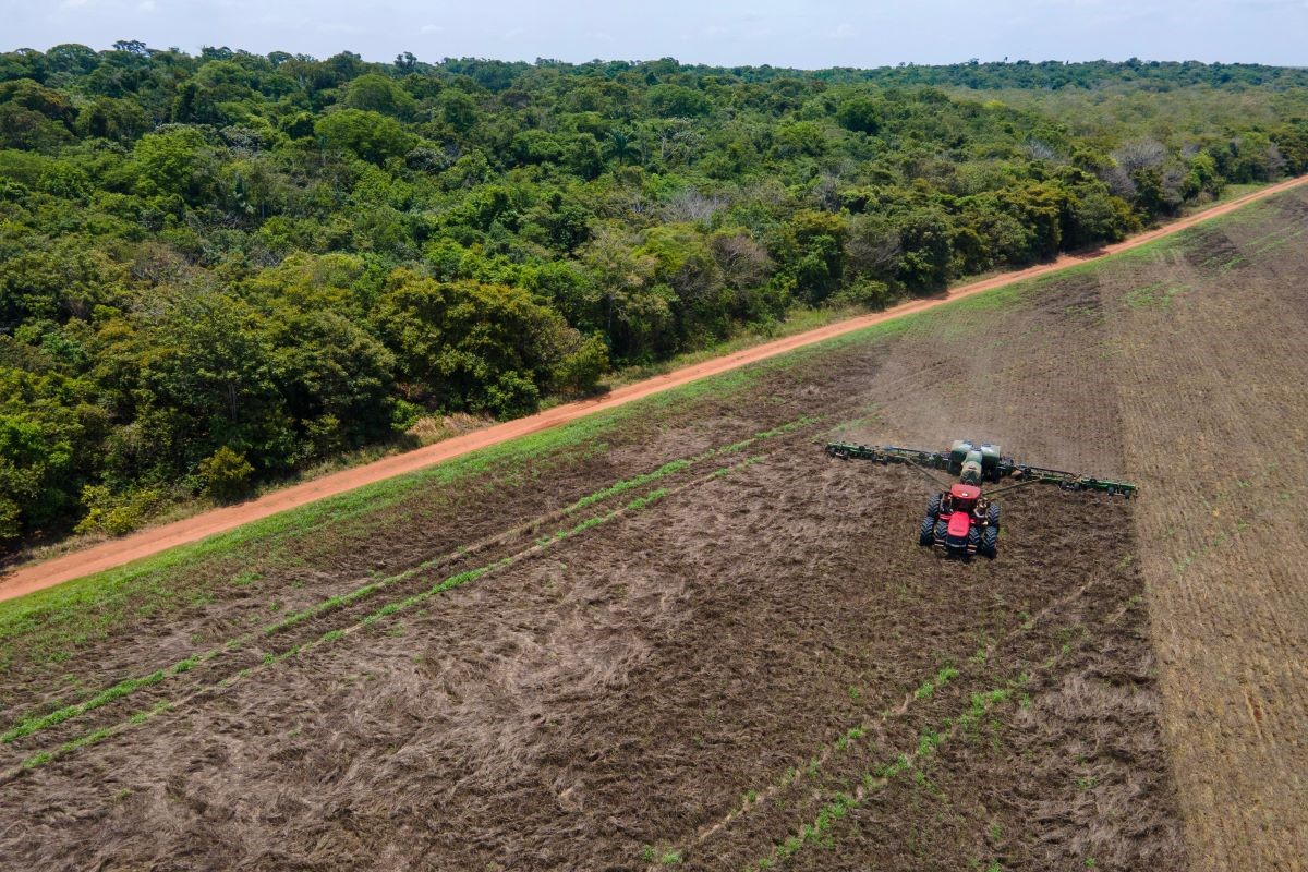 Agricultura regenerativa representa ganhos estruturais para o sistema produtivo. Foto: Adobe Stock