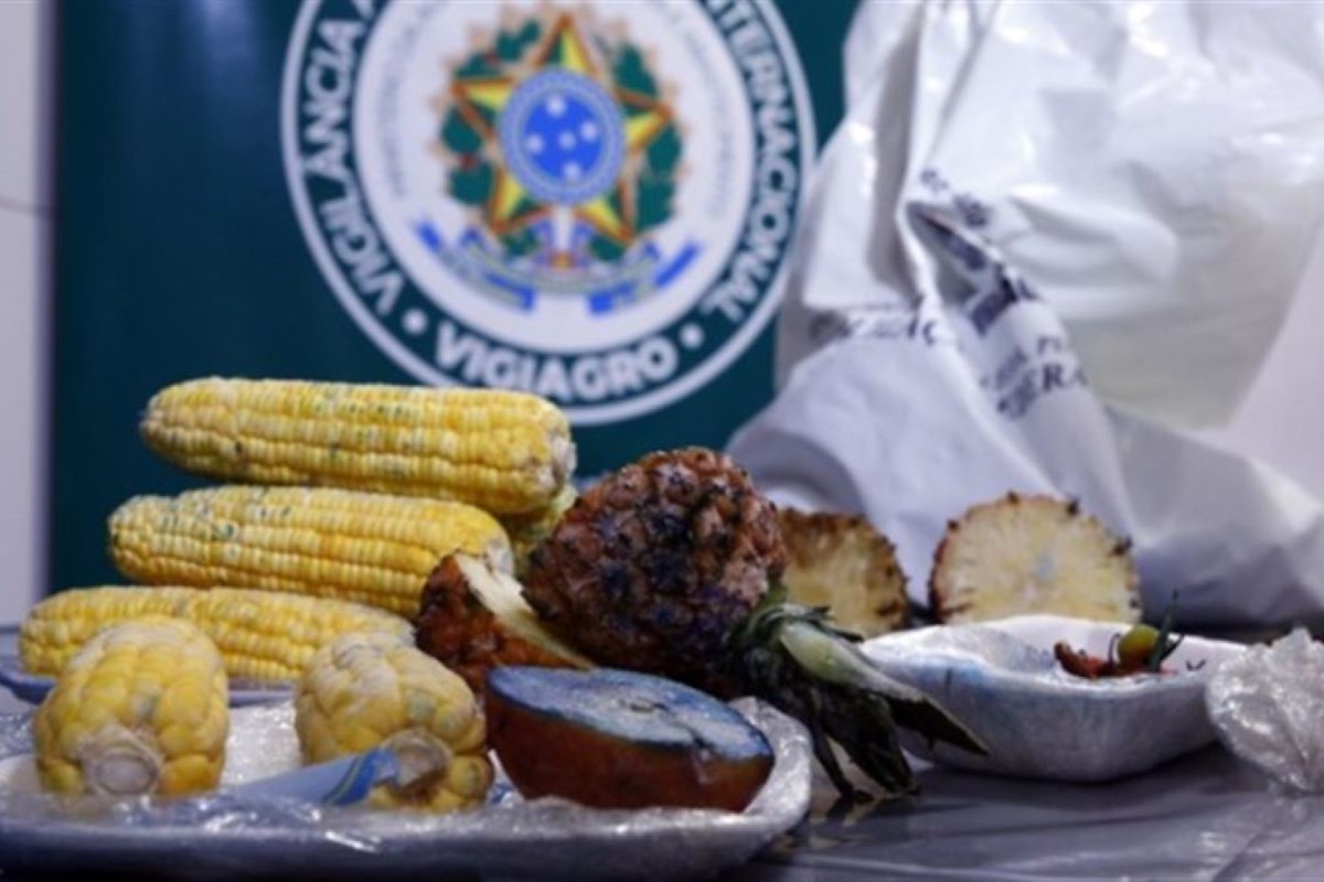 Bens agropecuários precisam ser apresentados com declaração ao Vigiagro na chegada ao Brasil. Foto: Mapa/Divulgação