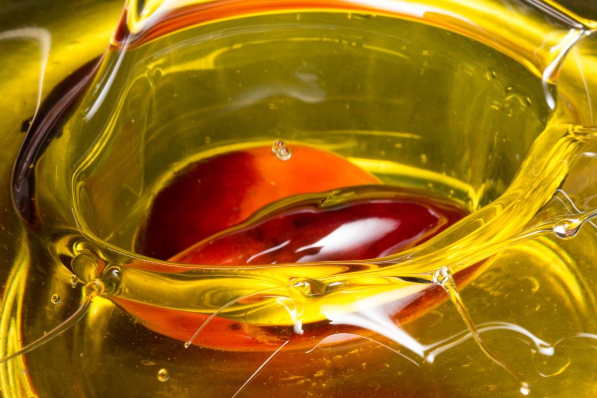 Consumo de biodiesel do Brasil em 2026 pode chegar a 11 milhões de metros cúbicos. Foto: Adobe Stock