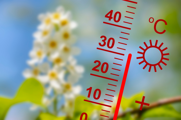 País pode ter onda de calor nesta semana; veja a previsão